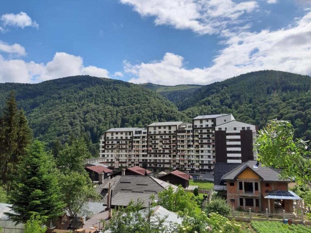 Ioana'S Apartament Lägenhet Sinaia Exteriör bild